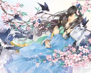 苹果豆奶短视频下载